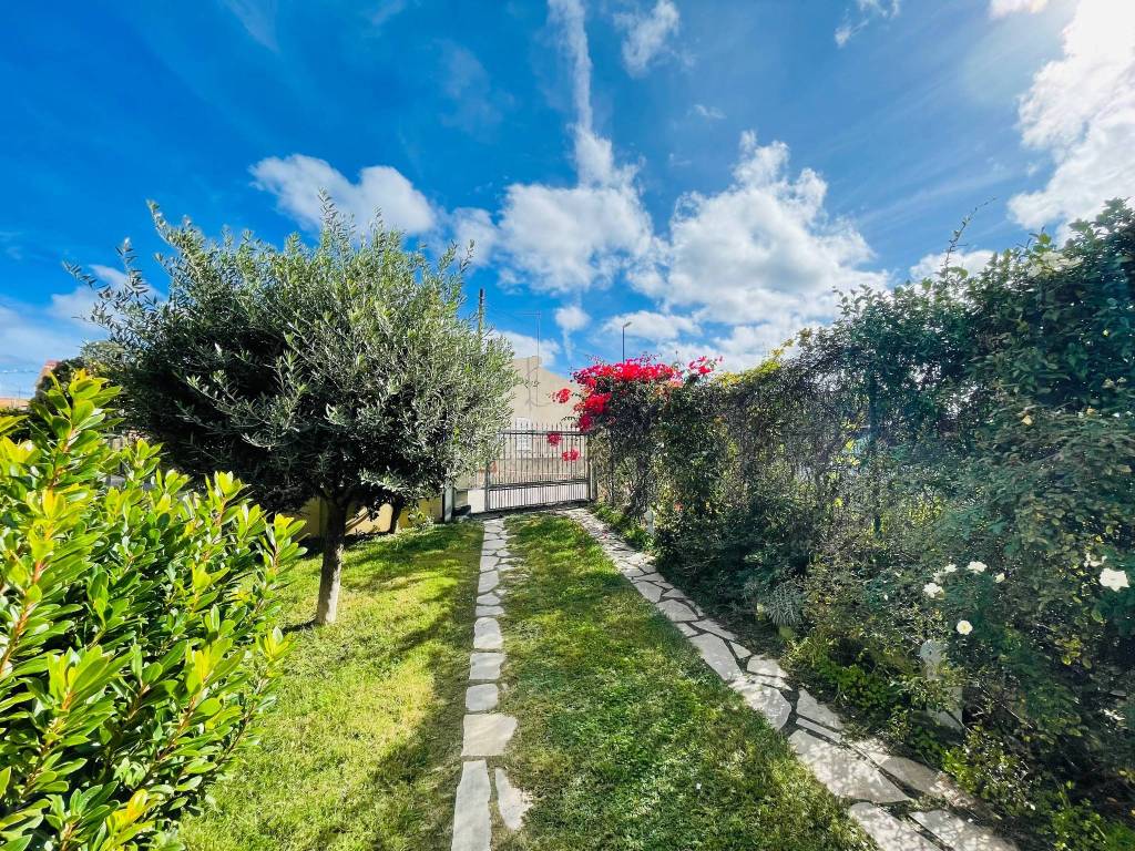 immagine annuncio 11 di 14