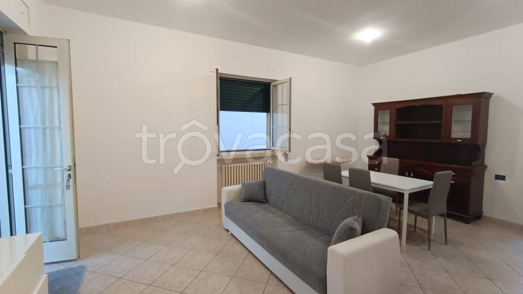 immagine annuncio 2 di 14