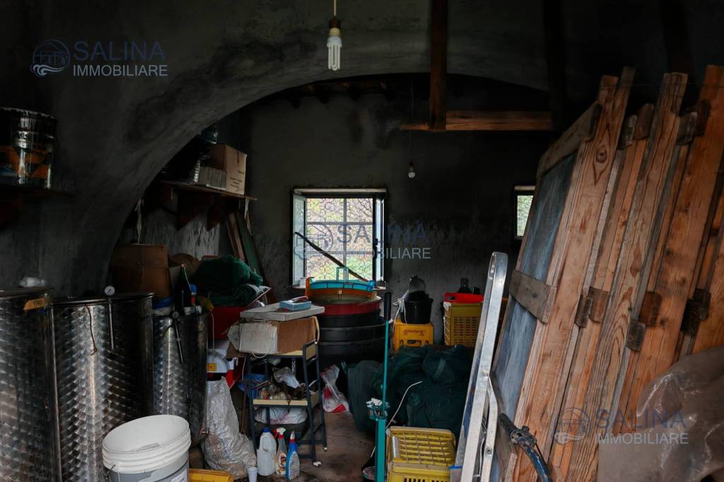 immagine annuncio 6 di 8