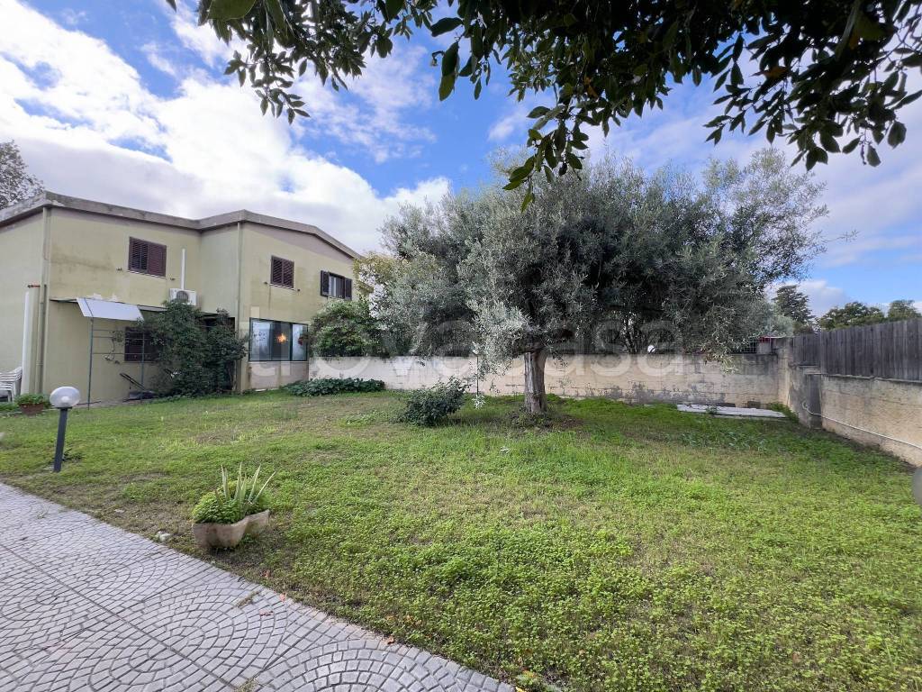 immagine annuncio 2 di 13