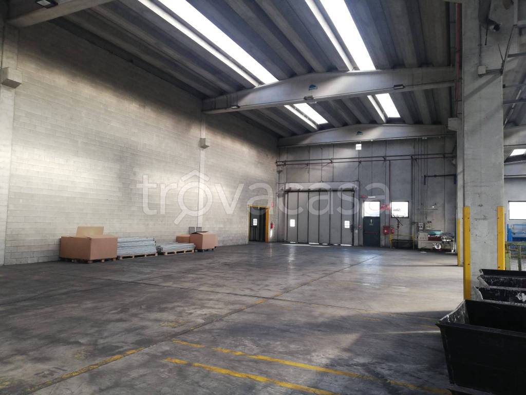 immagine annuncio 2 di 7