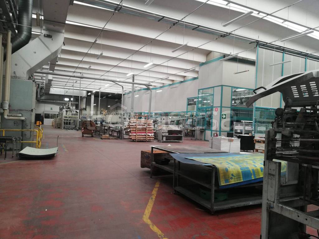 immagine annuncio 4 di 7