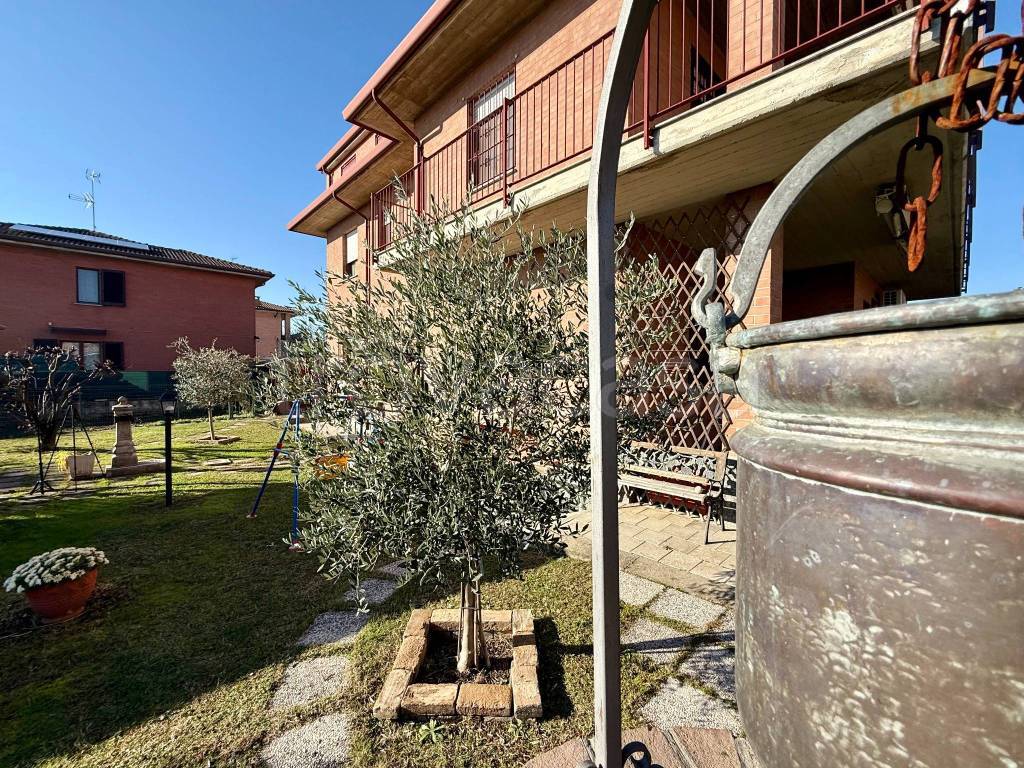 immagine annuncio 6 di 15