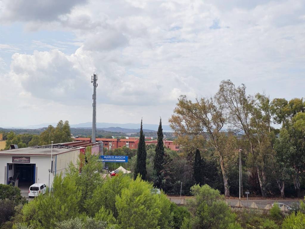 immagine annuncio 12 di 13