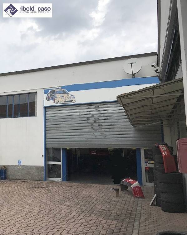 immagine annuncio 3 di 14