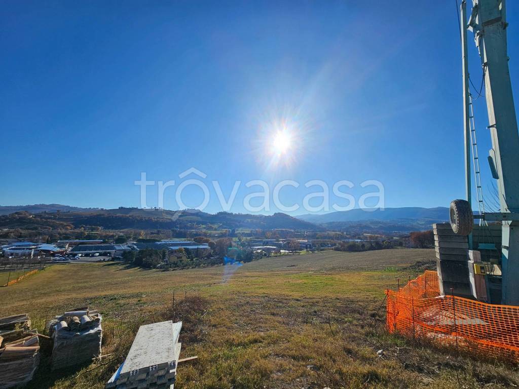 immagine annuncio 4 di 14