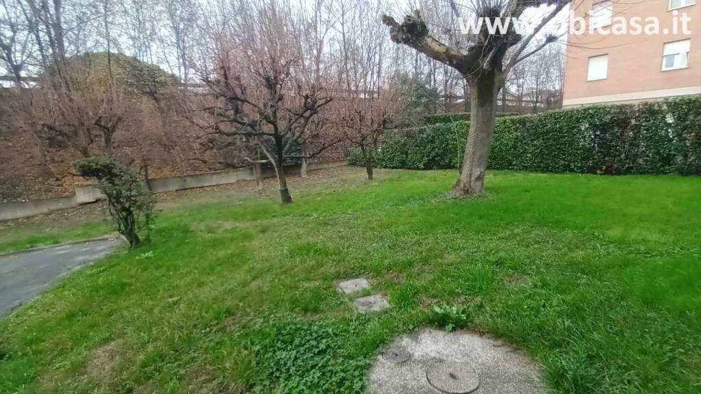 immagine annuncio 2 di 13