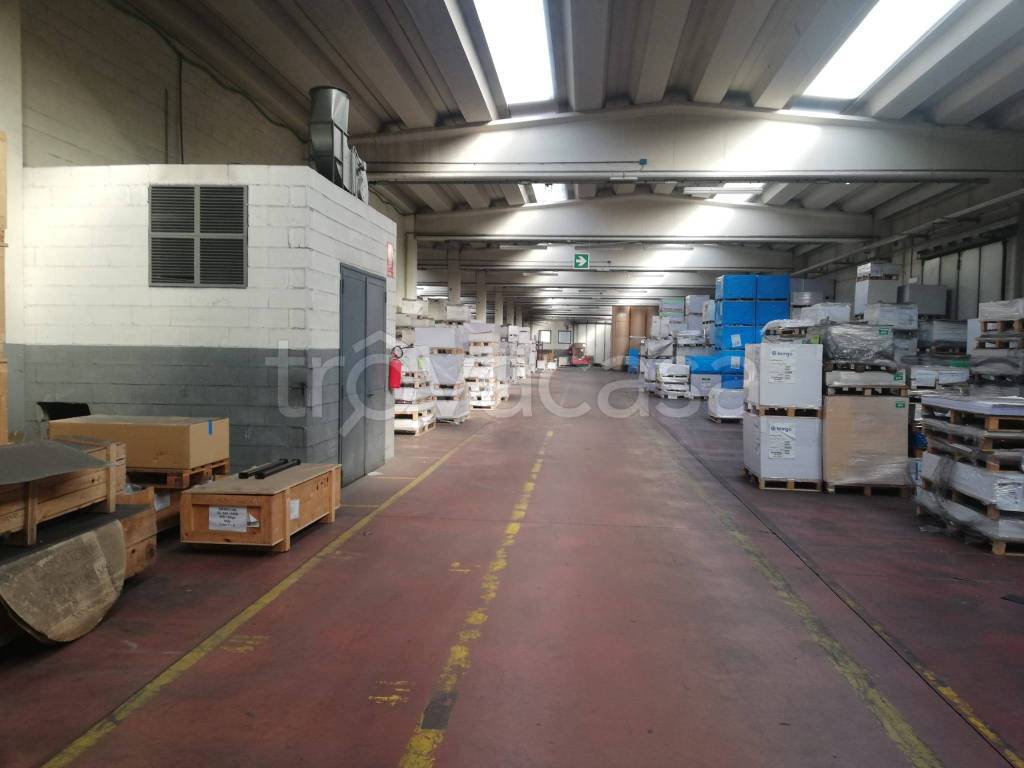 immagine annuncio 12 di 14