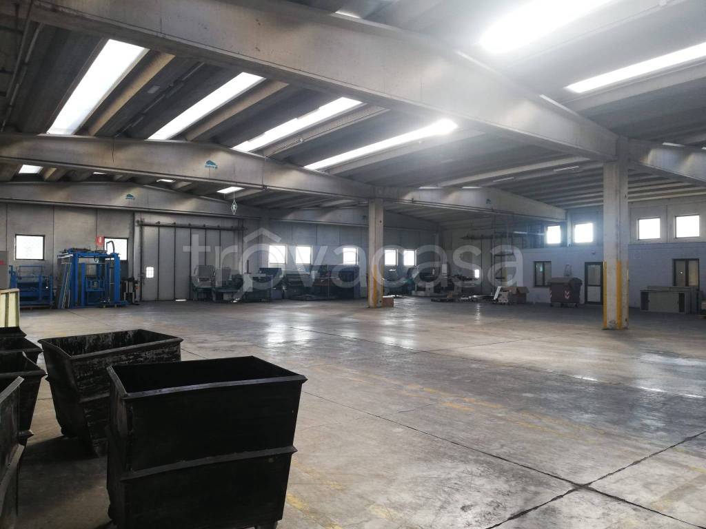 immagine annuncio 7 di 14