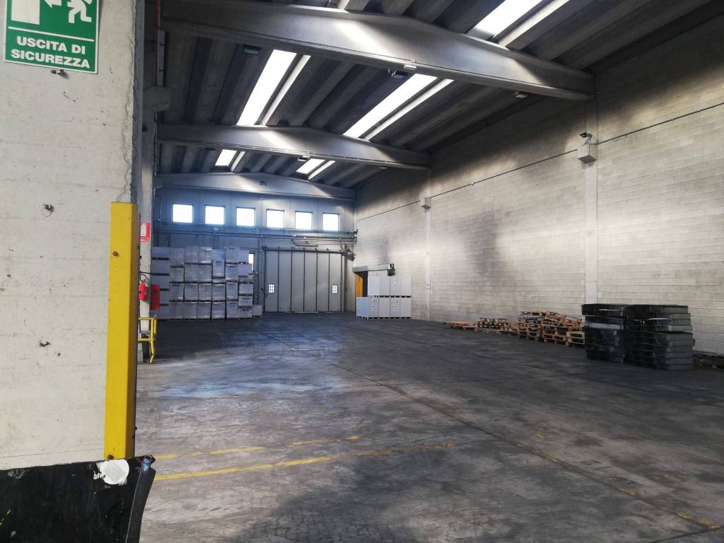 immagine annuncio 9 di 14