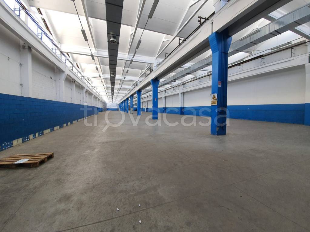 immagine annuncio 13 di 14