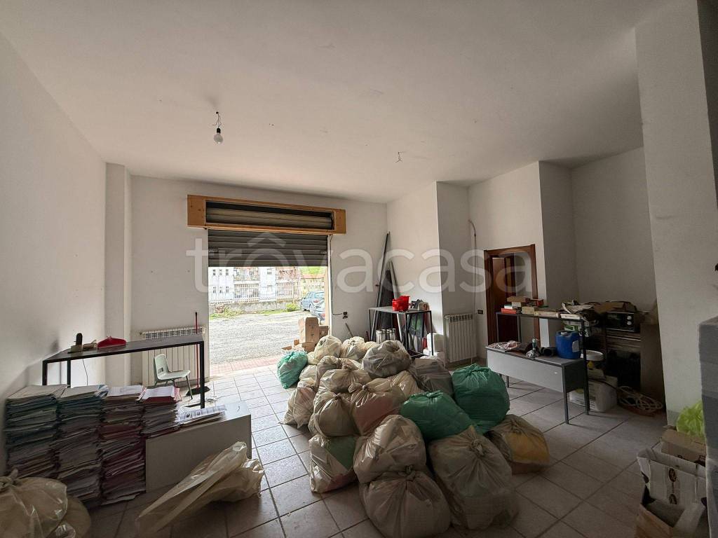 immagine annuncio 3 di 6