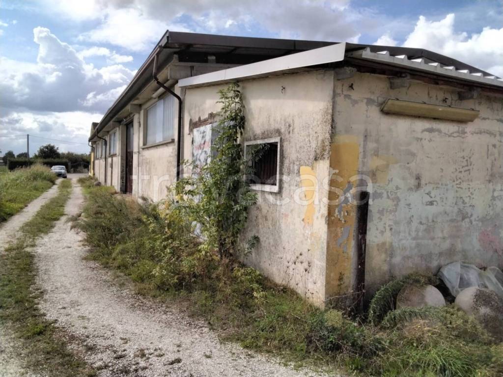 immagine annuncio 2 di 8