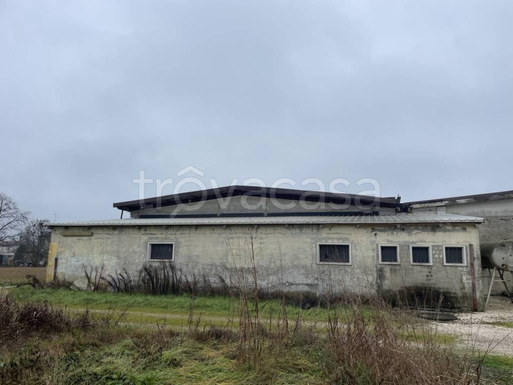 immagine annuncio 4 di 8