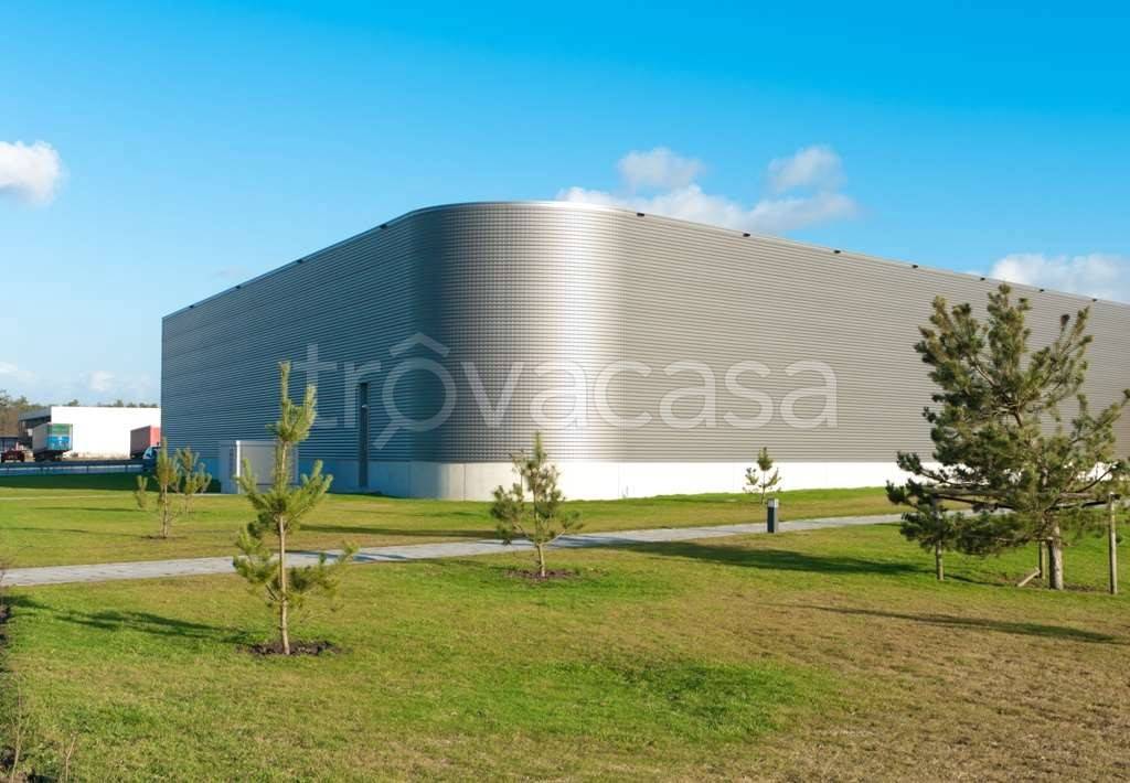 immagine annuncio 1 di 6