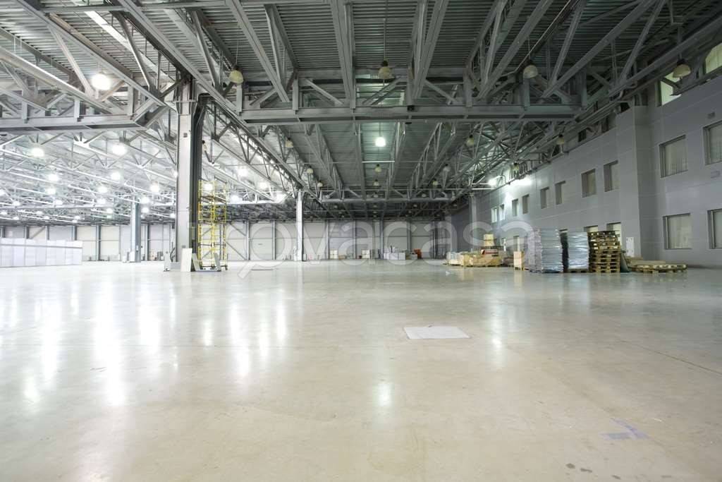 immagine annuncio 5 di 6