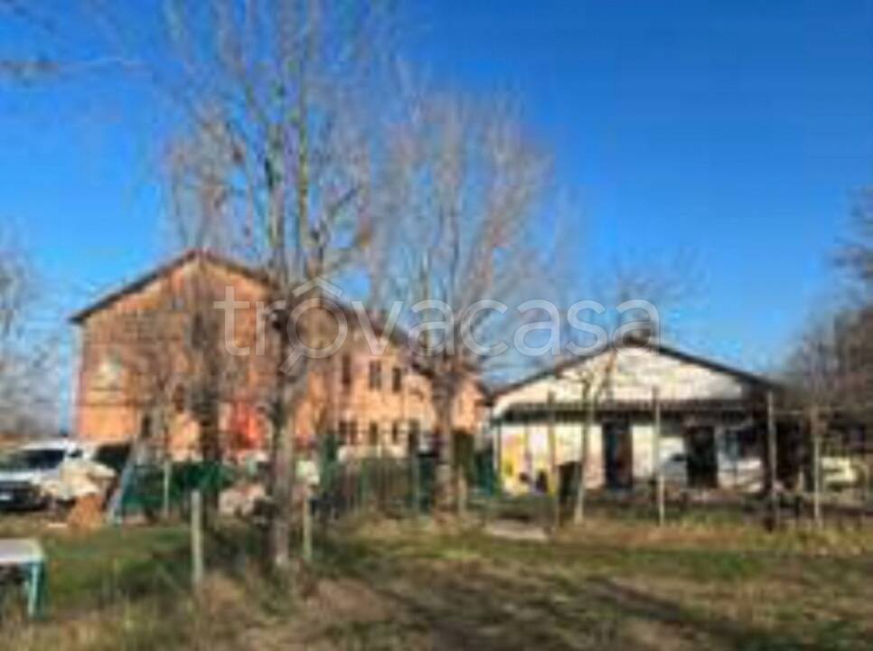 immagine annuncio 4 di 11