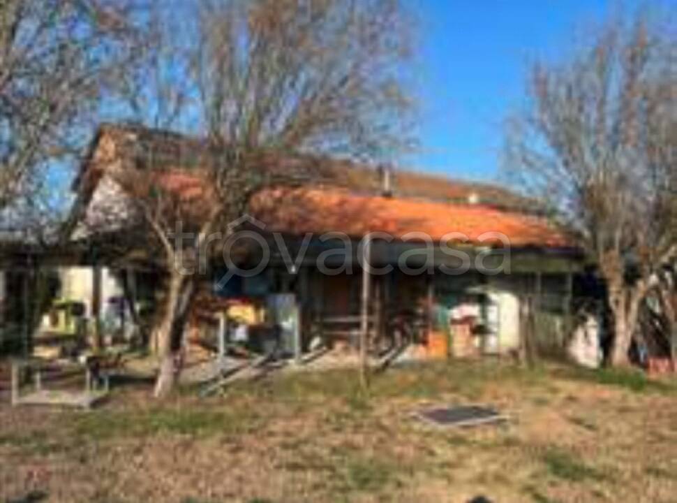 immagine annuncio 5 di 11