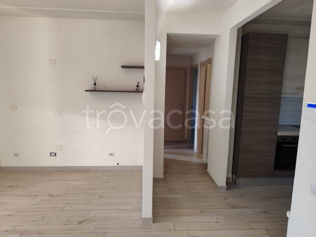 immagine annuncio 3 di 14