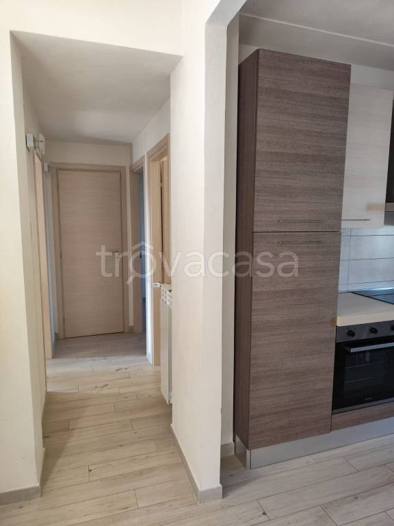 immagine annuncio 4 di 14