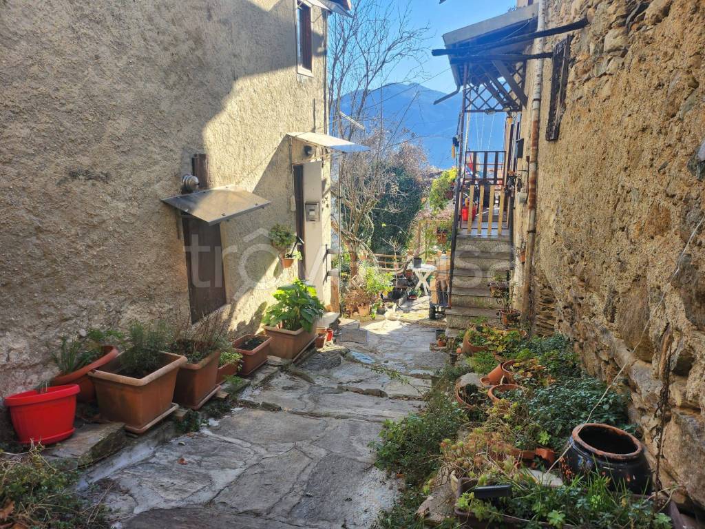 immagine annuncio 4 di 11