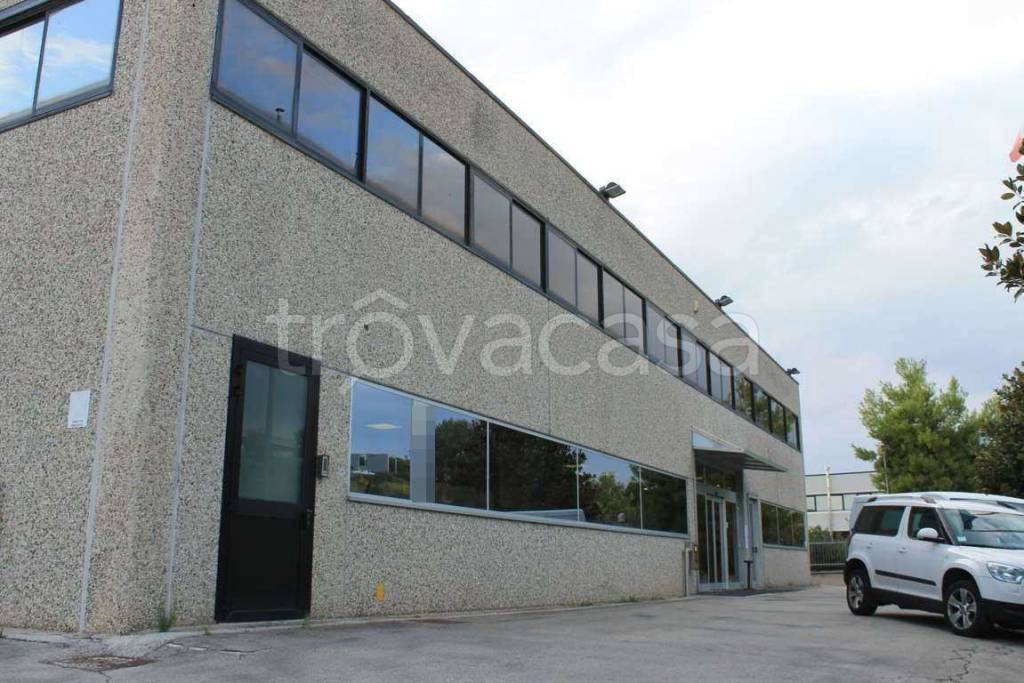 immagine annuncio 3 di 14