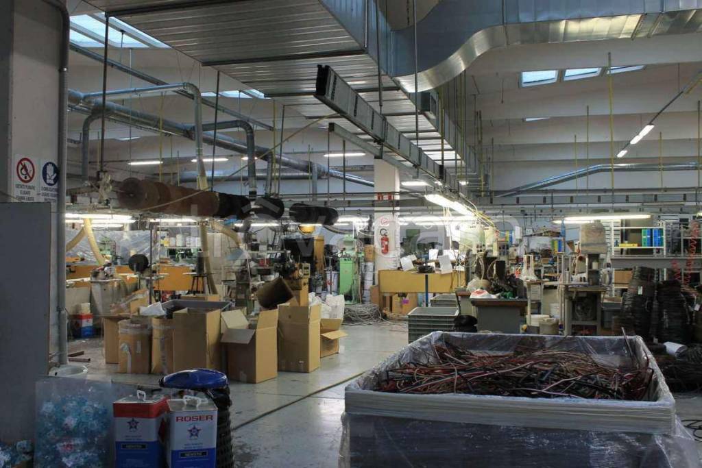 immagine annuncio 5 di 14