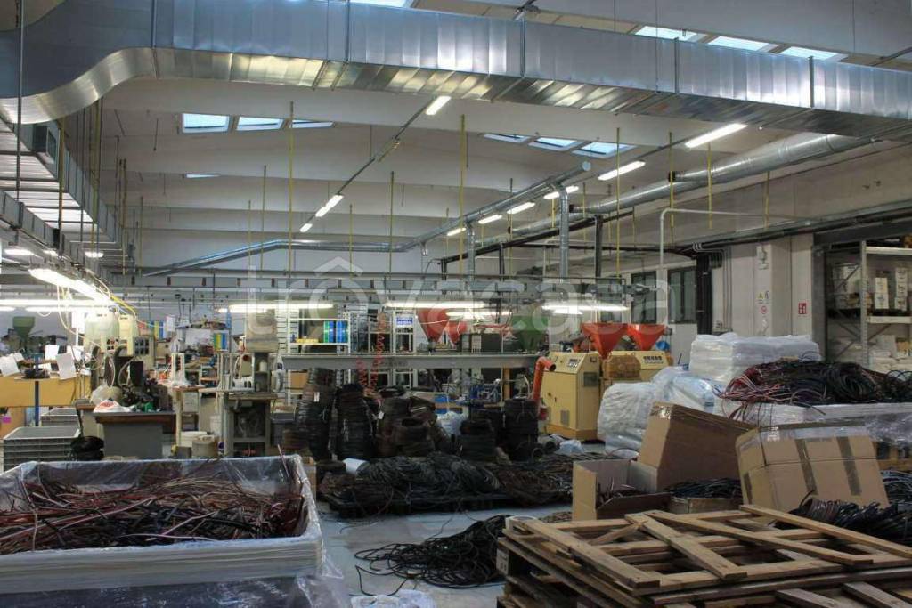 immagine annuncio 11 di 14