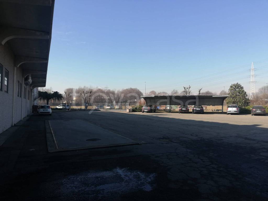 immagine annuncio 5 di 15