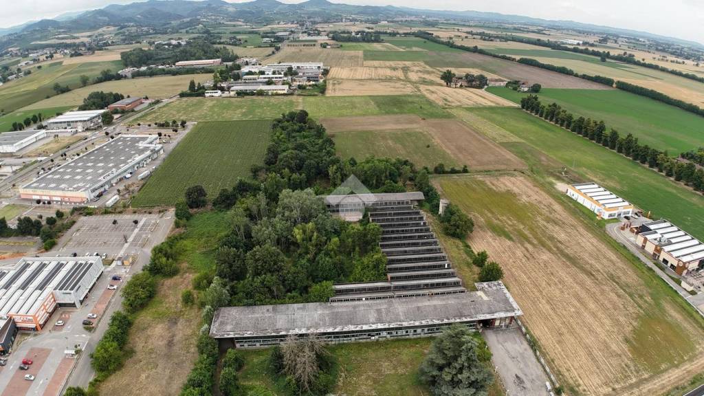 immagine annuncio 5 di 6