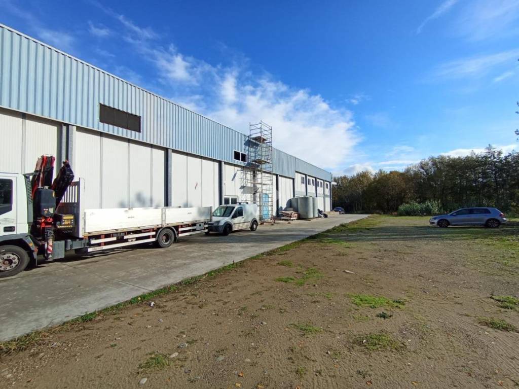 immagine annuncio 6 di 15