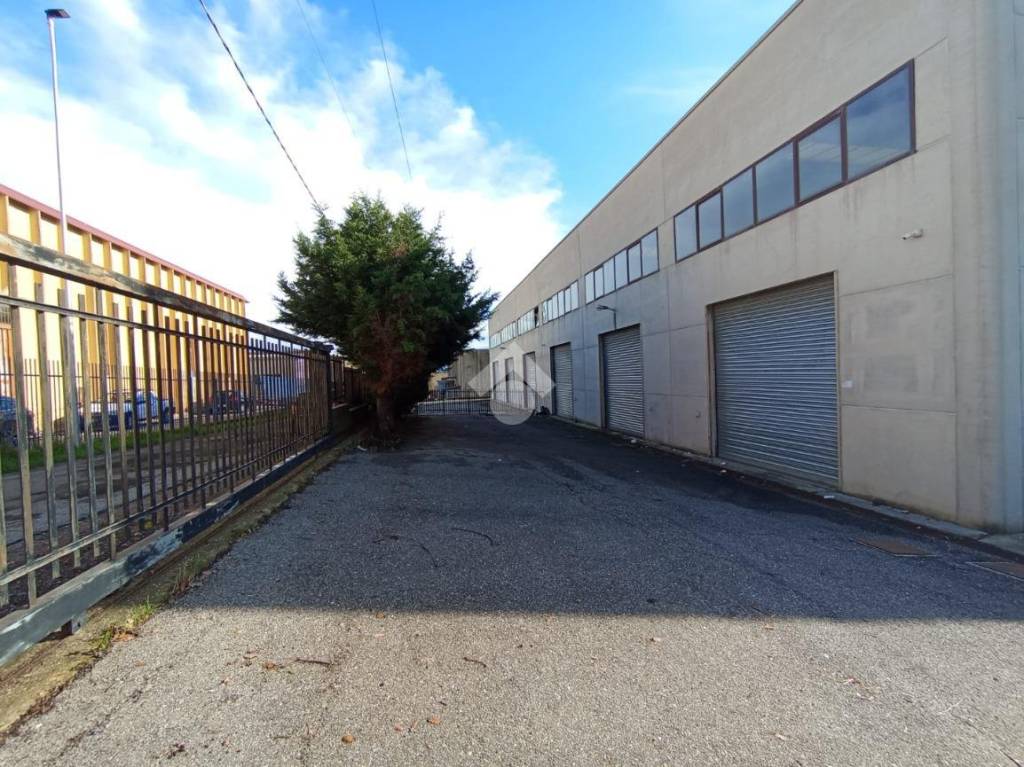 immagine annuncio 14 di 15