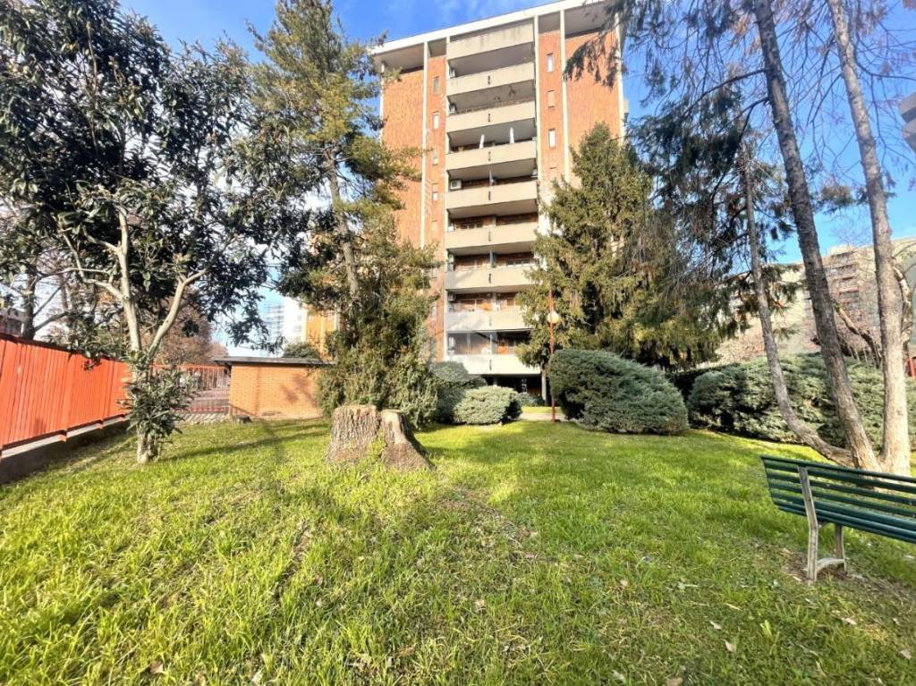 immagine annuncio 1 di 15