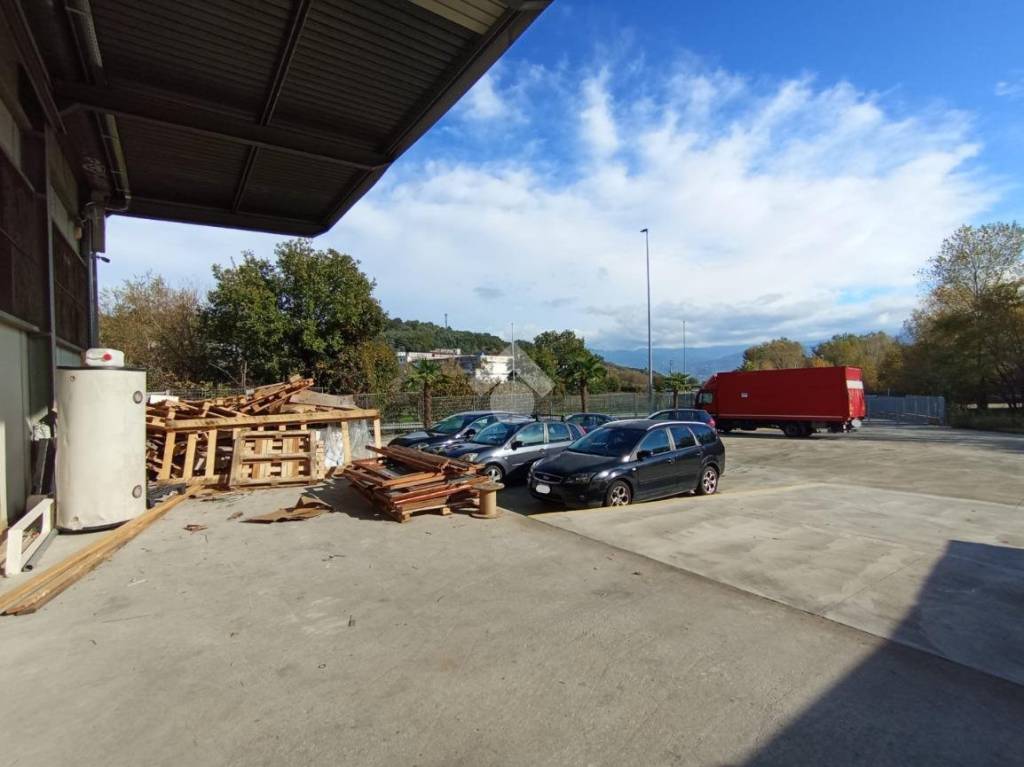 immagine annuncio 2 di 15