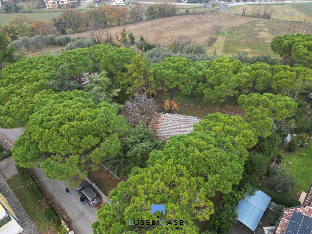 immagine annuncio 2 di 7