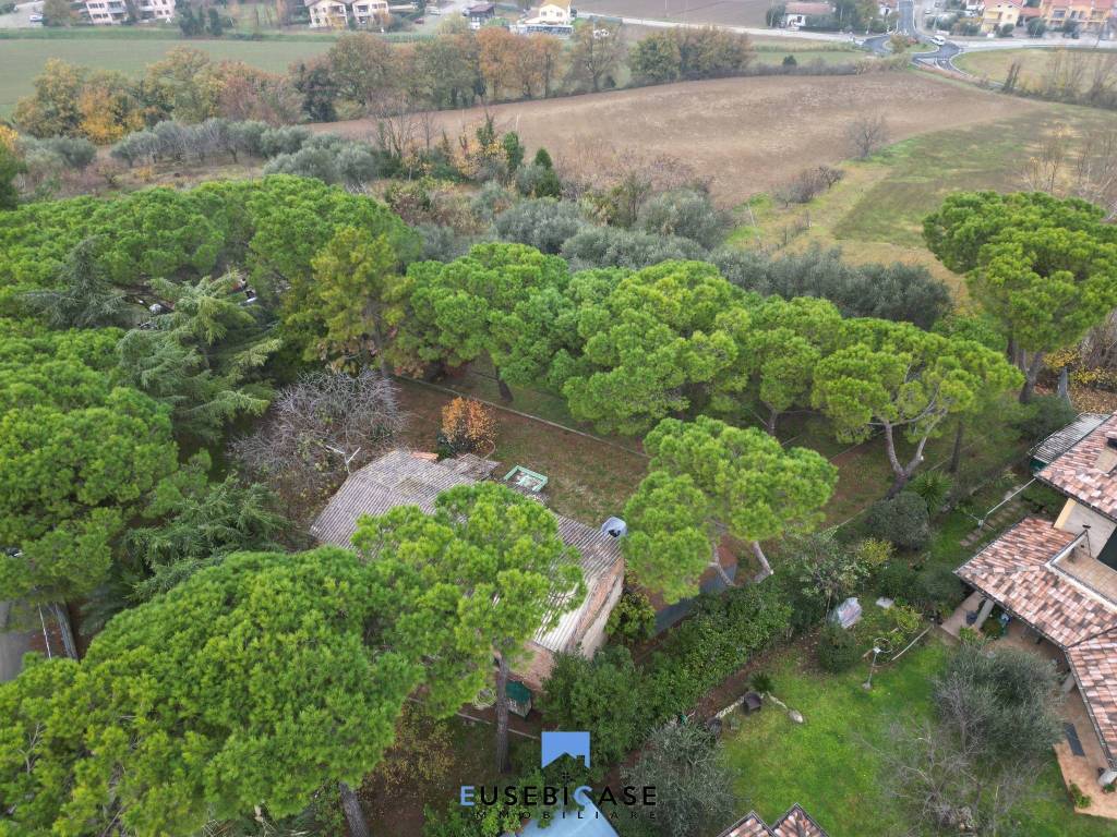 immagine annuncio 3 di 7