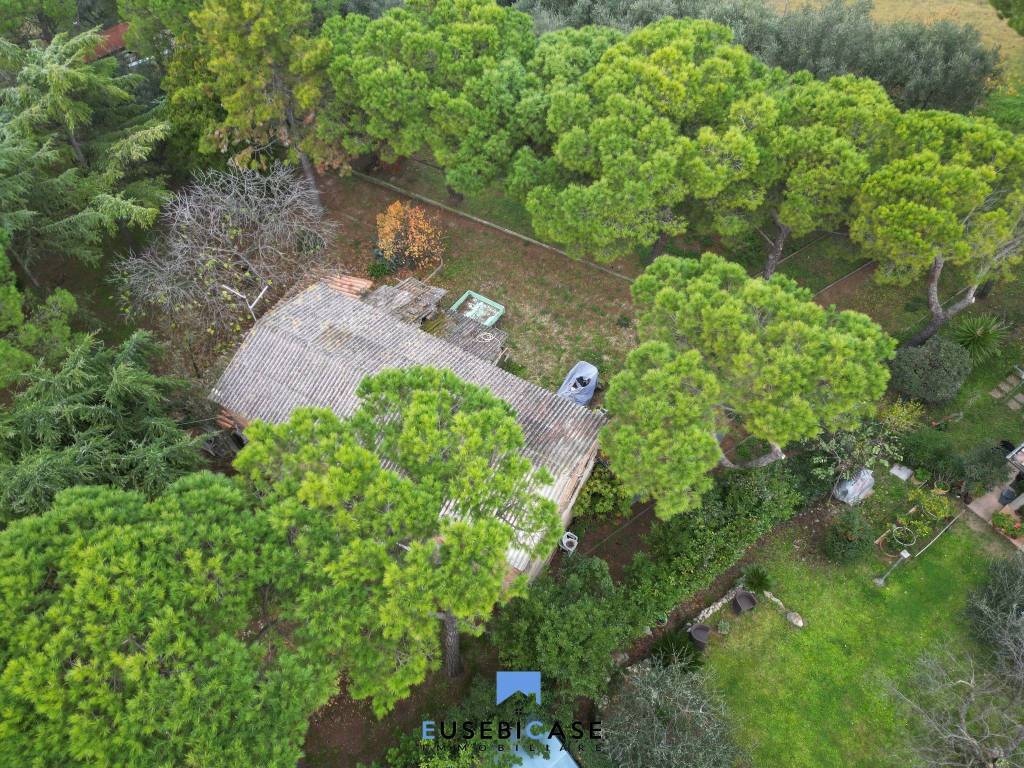 immagine annuncio 4 di 7