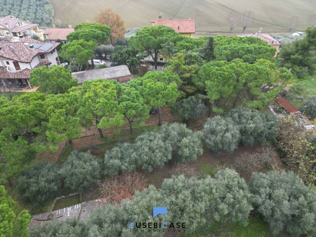 immagine annuncio 6 di 7