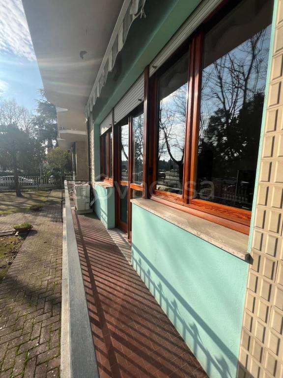 immagine annuncio 7 di 11