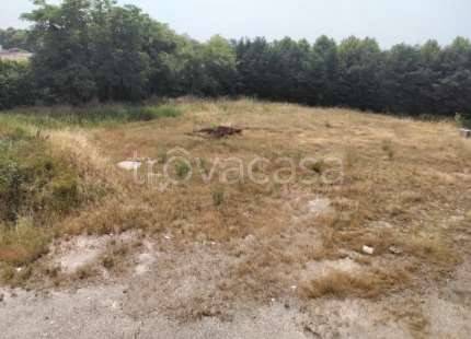 immagine annuncio 4 di 11