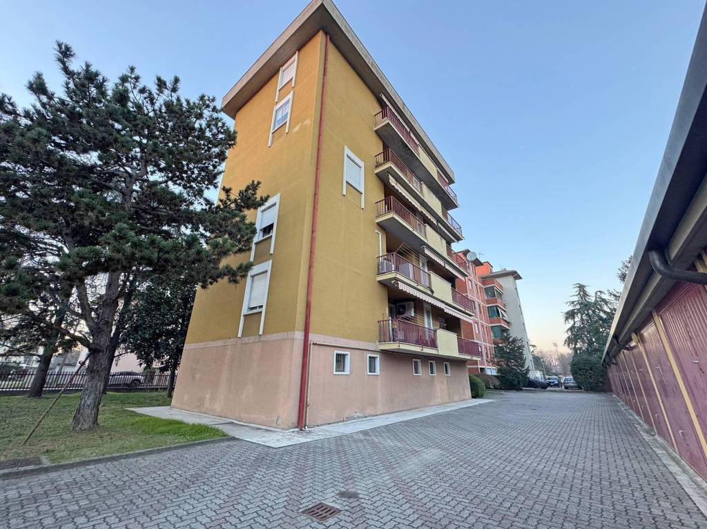 immagine annuncio 14 di 15