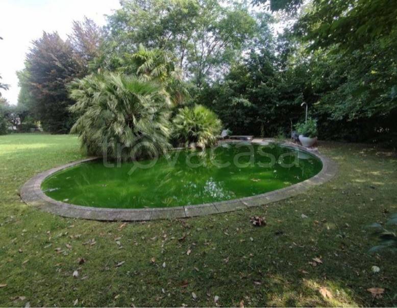 immagine annuncio 3 di 6