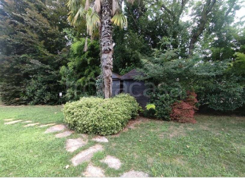 immagine annuncio 4 di 6