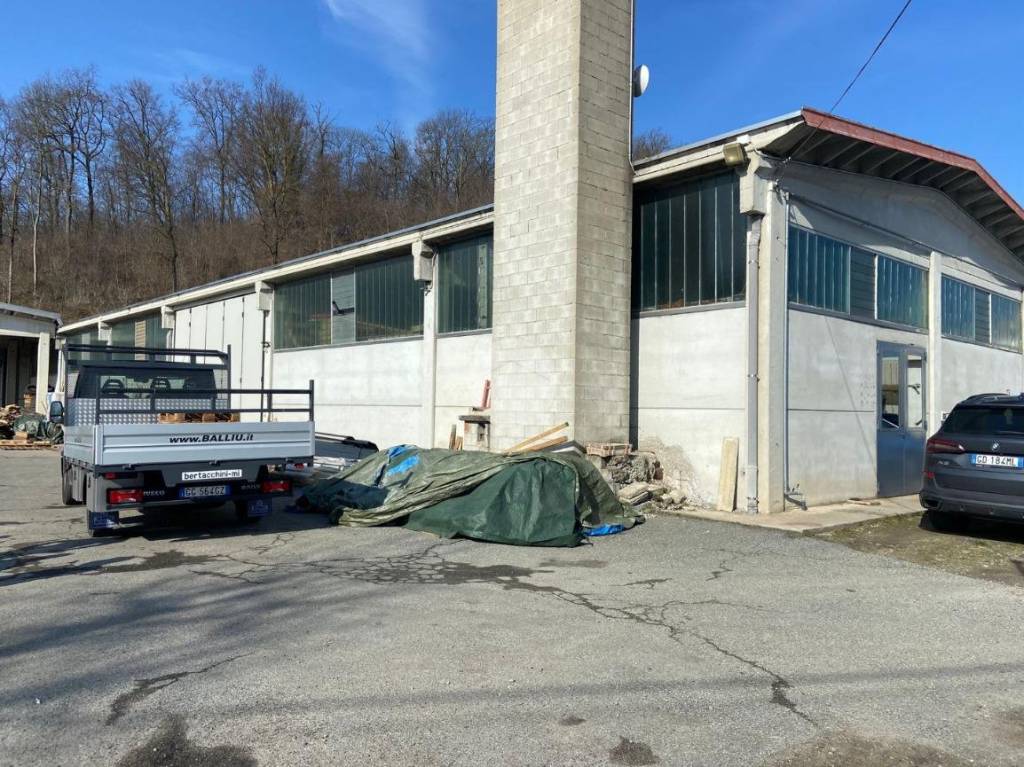 immagine annuncio 1 di 15