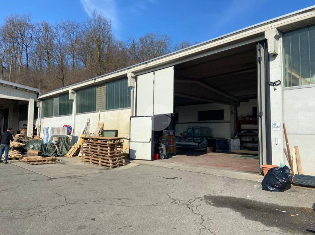 immagine annuncio 2 di 15