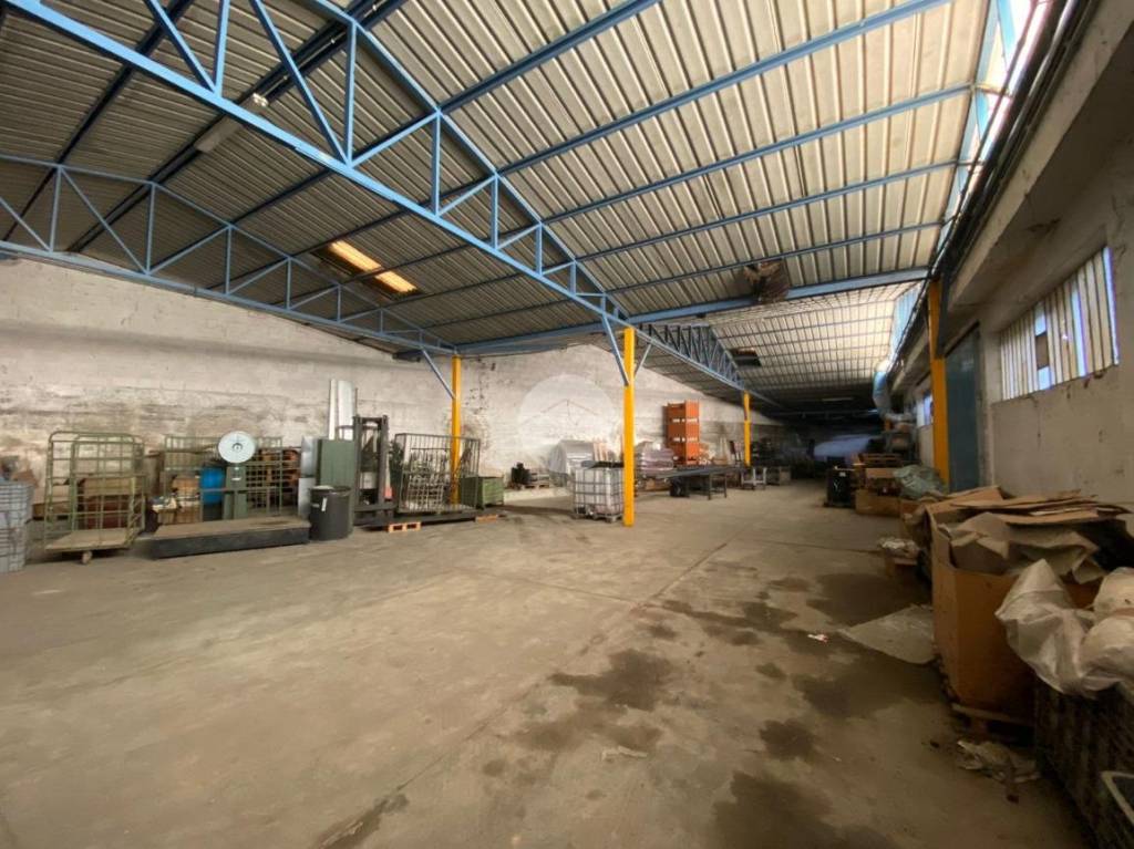 immagine annuncio 8 di 15