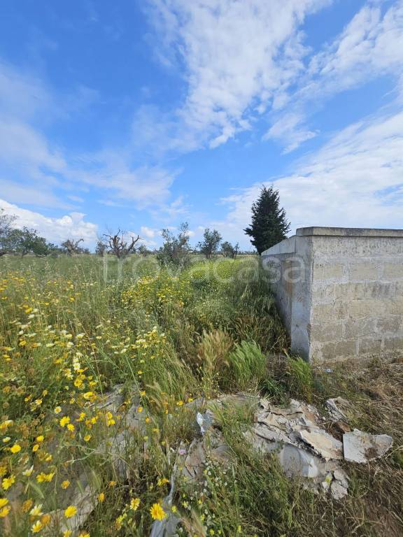 immagine annuncio 5 di 8