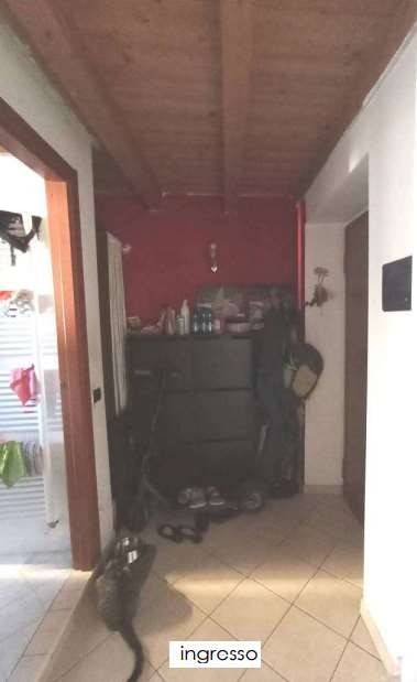 immagine annuncio 4 di 14