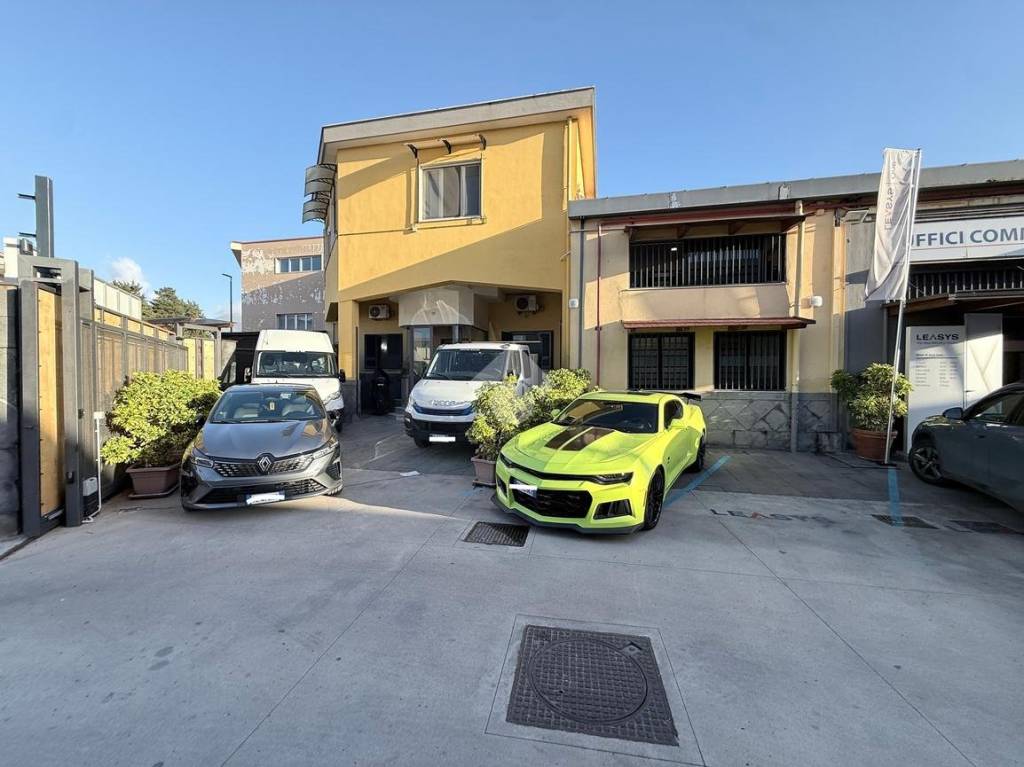 immagine annuncio 2 di 15