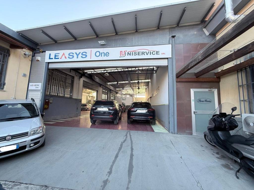 immagine annuncio 5 di 15